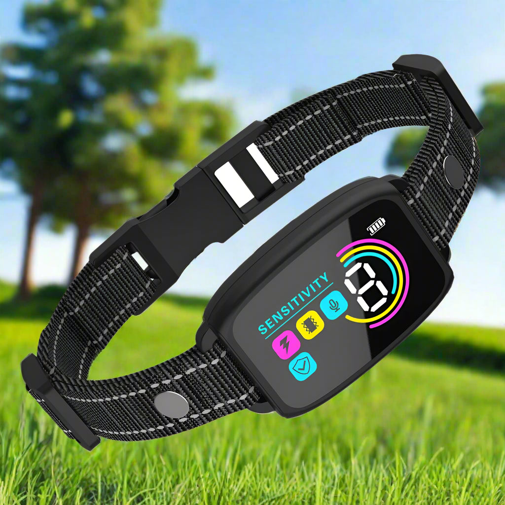 Collier anti aboiement pour chien pelouse