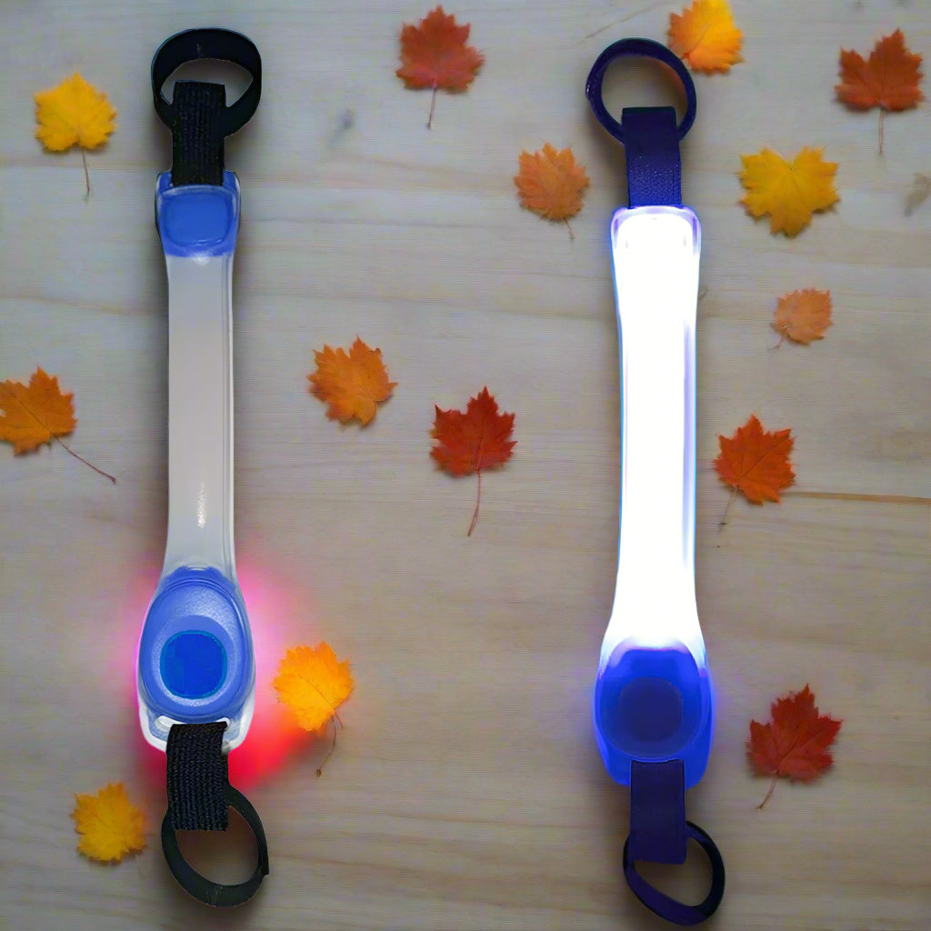 Collier-chien-lumineux-Collier-chien-lumineux-Sensationnel-vertSensationnel-bleu