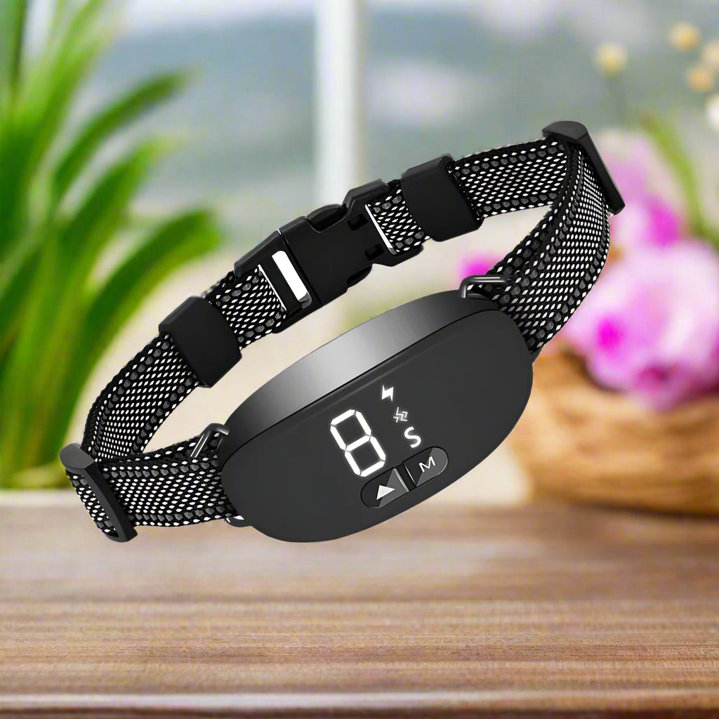 Collier pour chien de dressage reception fleur noir