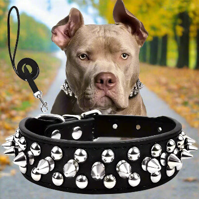 Collier pour chien noir pointe cloute