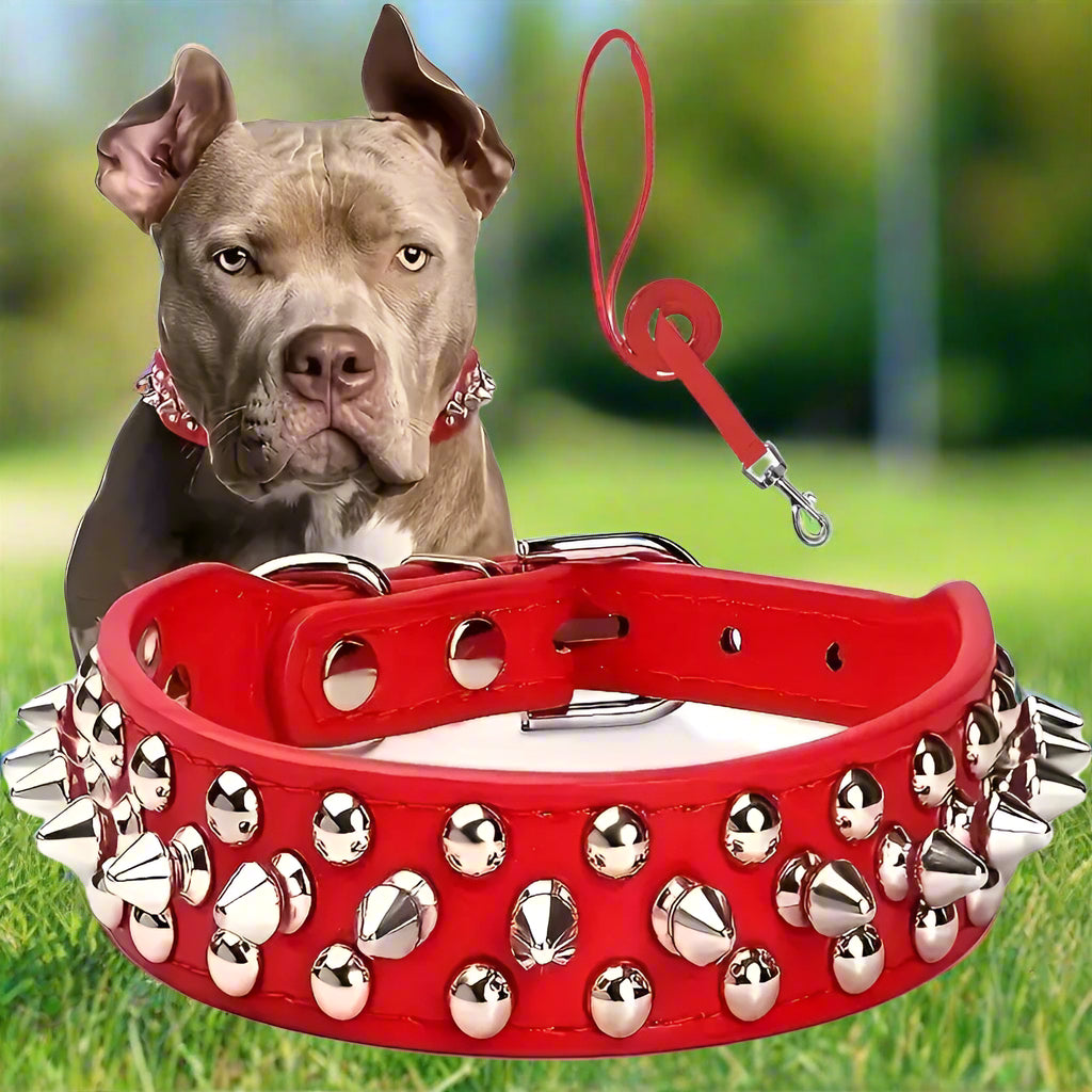 Collier pour chien rouge cloute cote