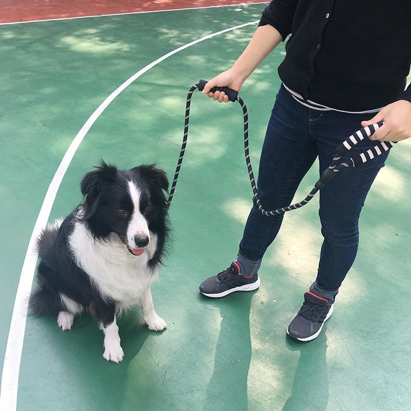 LaisseEduc™ - Corde en Nylon pour chien | Chien - Comptoir des chiens