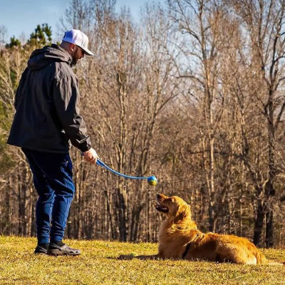 Lanceur de balle pour chien couche sur la pelouse maitre avec la balle a cote