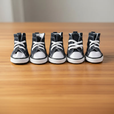 chaussure chien bleu sur table en bois