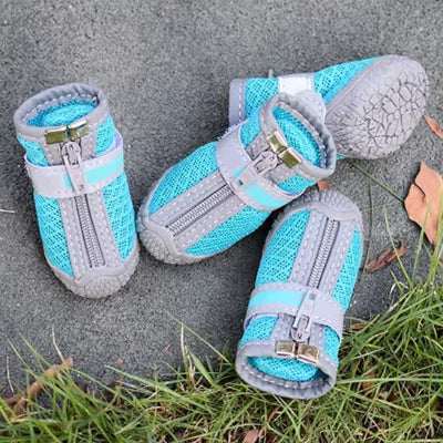 chaussure chien pour pattes au sol