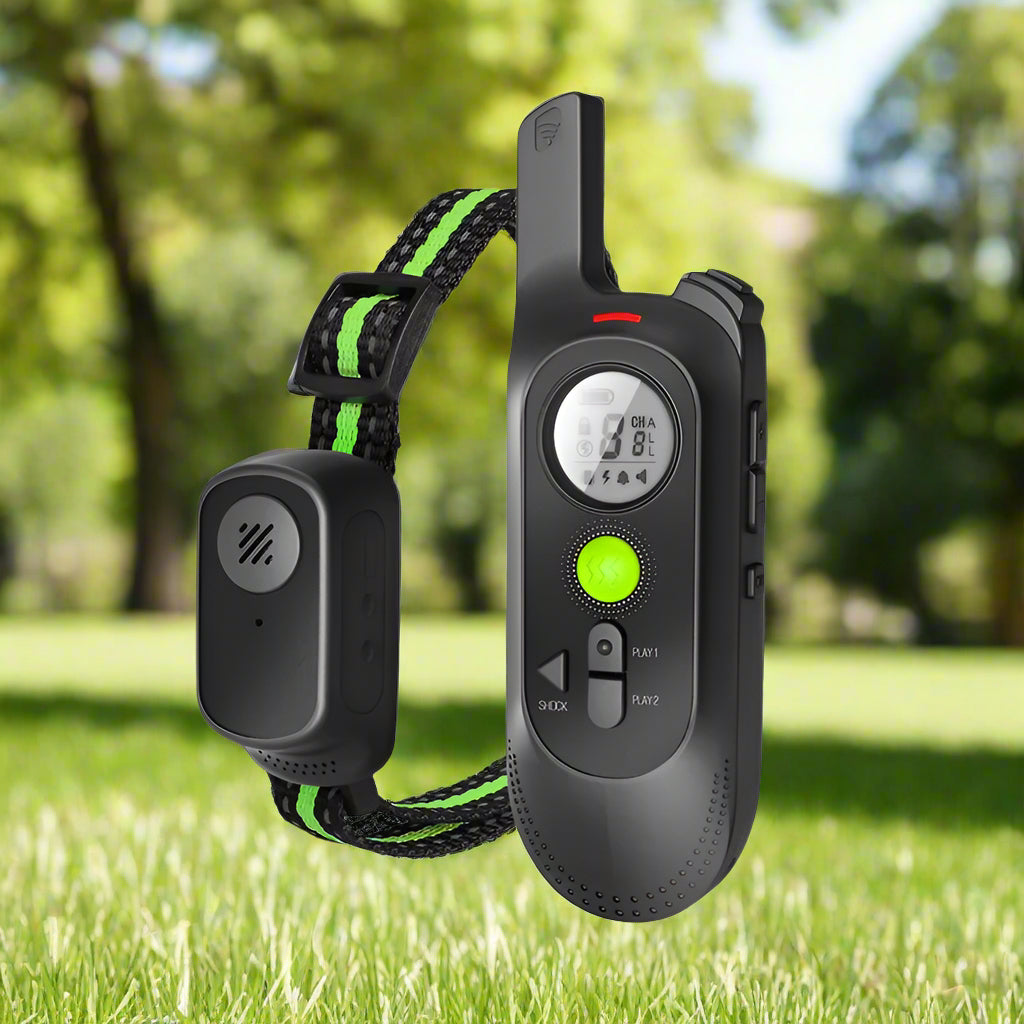 collier antiugue chien eclat vert telecommande