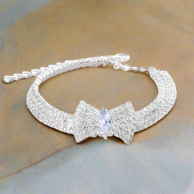 collier chien boite de couleur grise