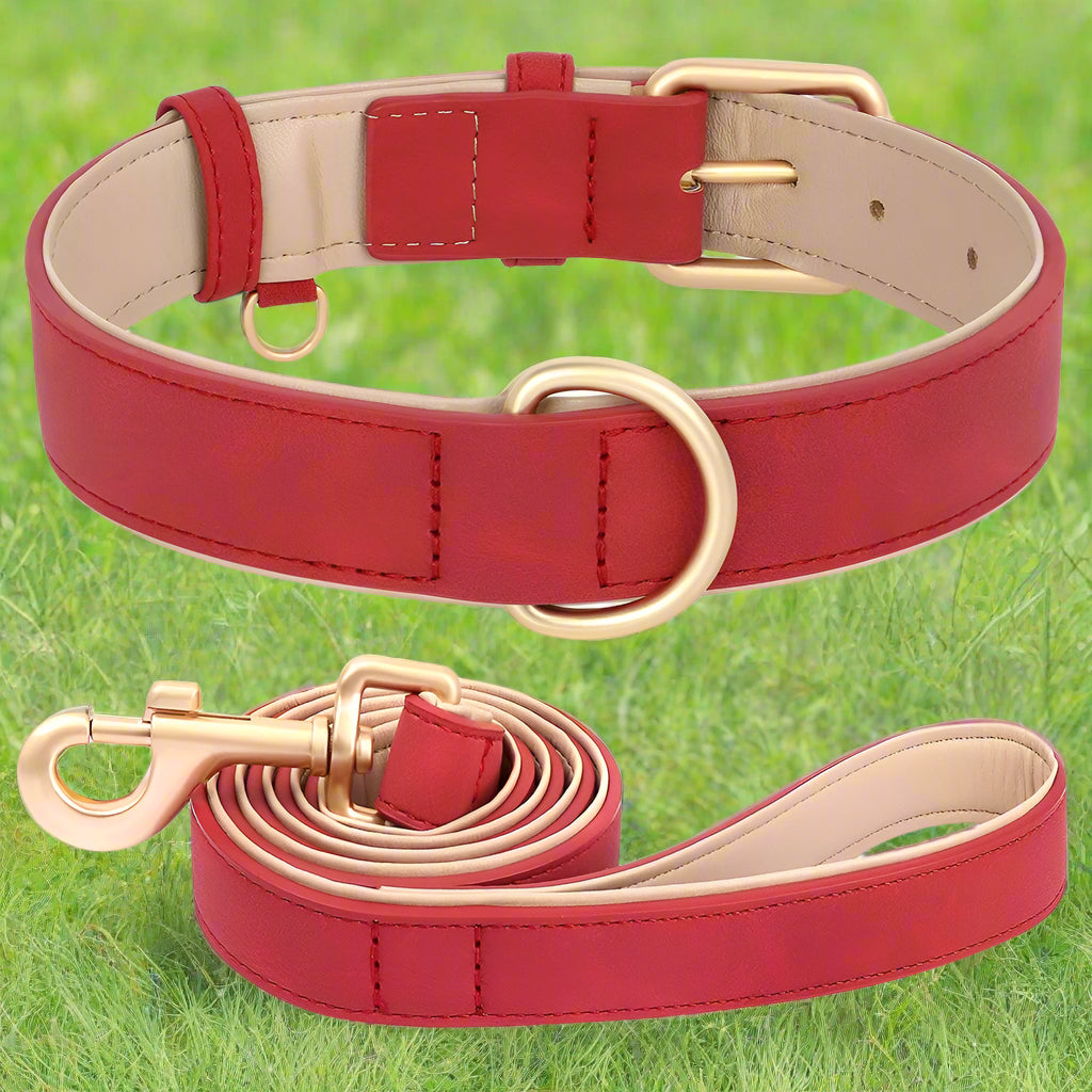 collier chien ensemble rouge