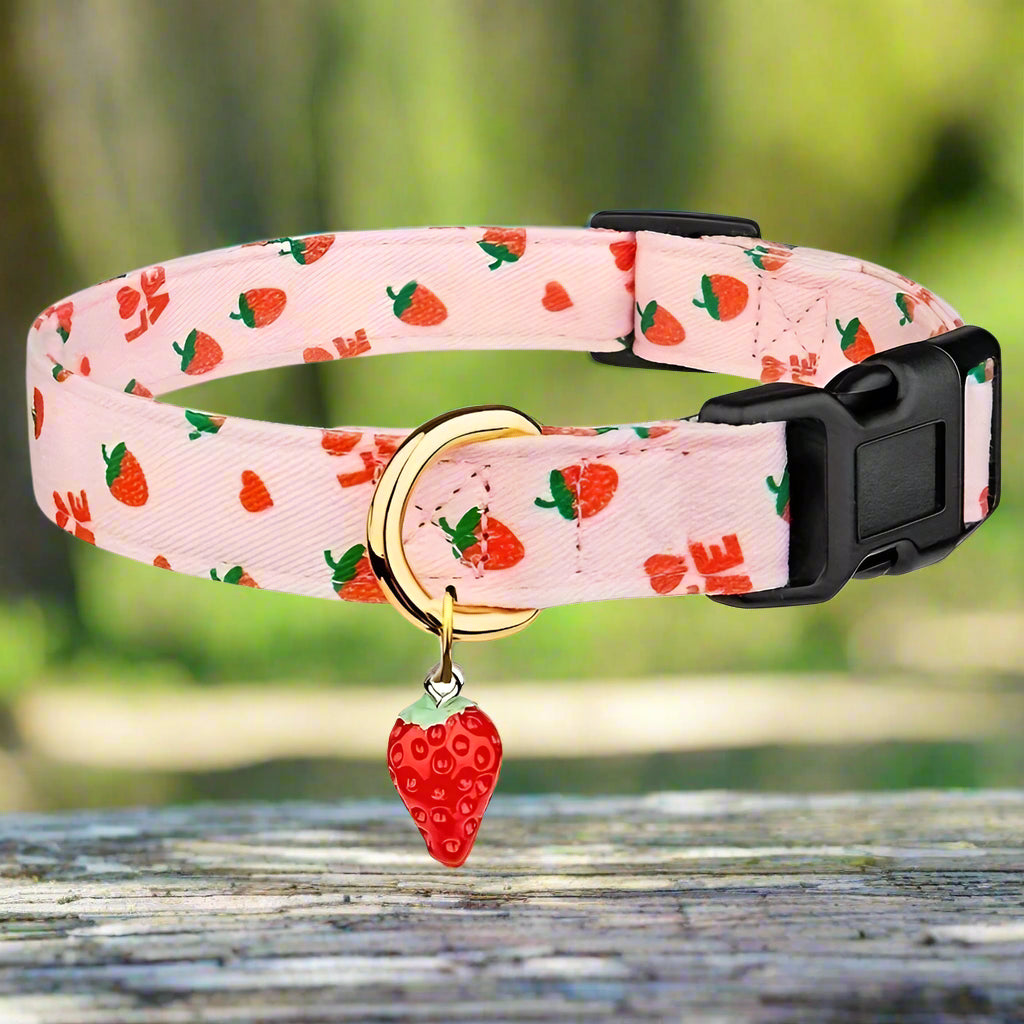 collier chien rose avantage