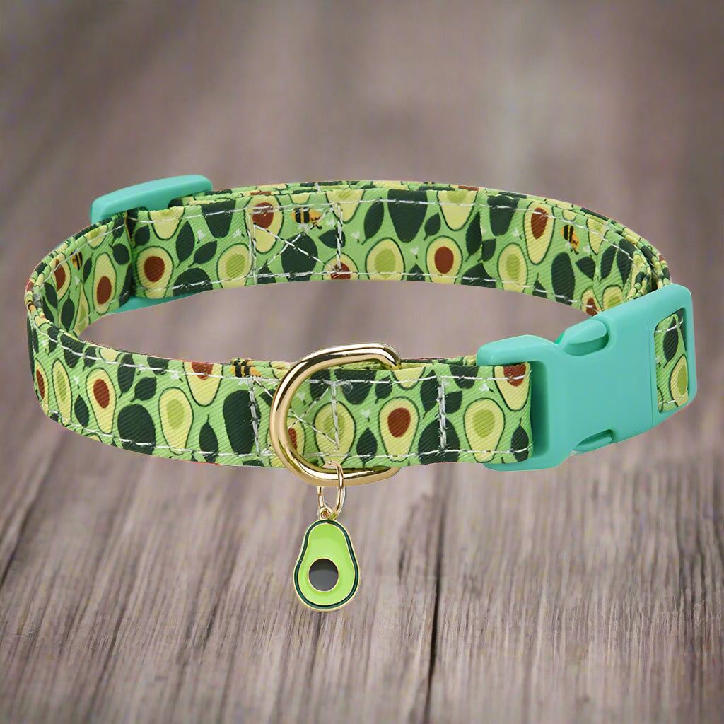 collier chien vert avantage table bois