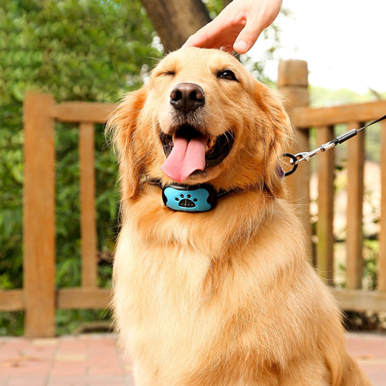 collier de dressage pour chien melodieux maitre