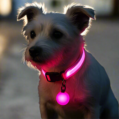 collier lumineux pour chien embellir rose