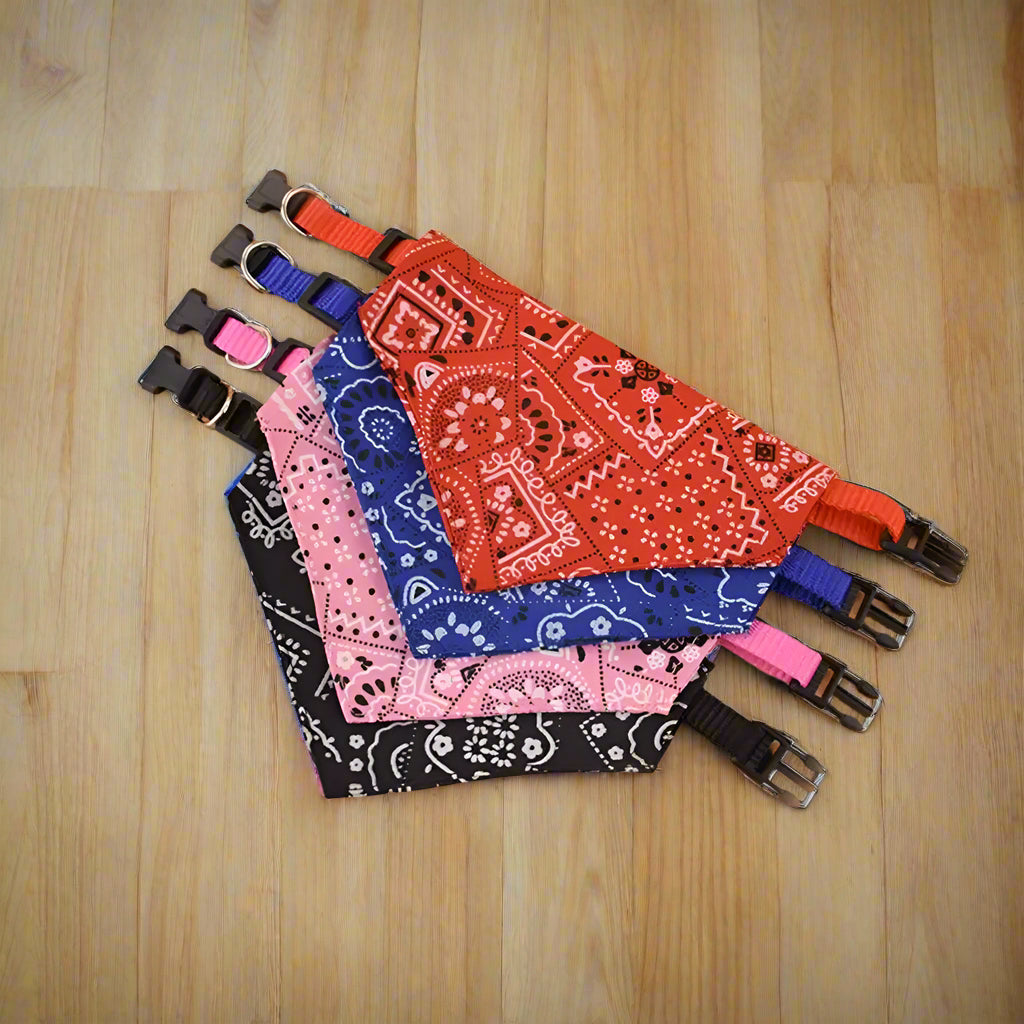 collier pour chien bandana
considerable planche