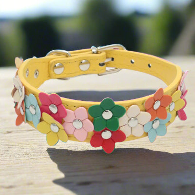 collier pour chien coudans jaune fleuris