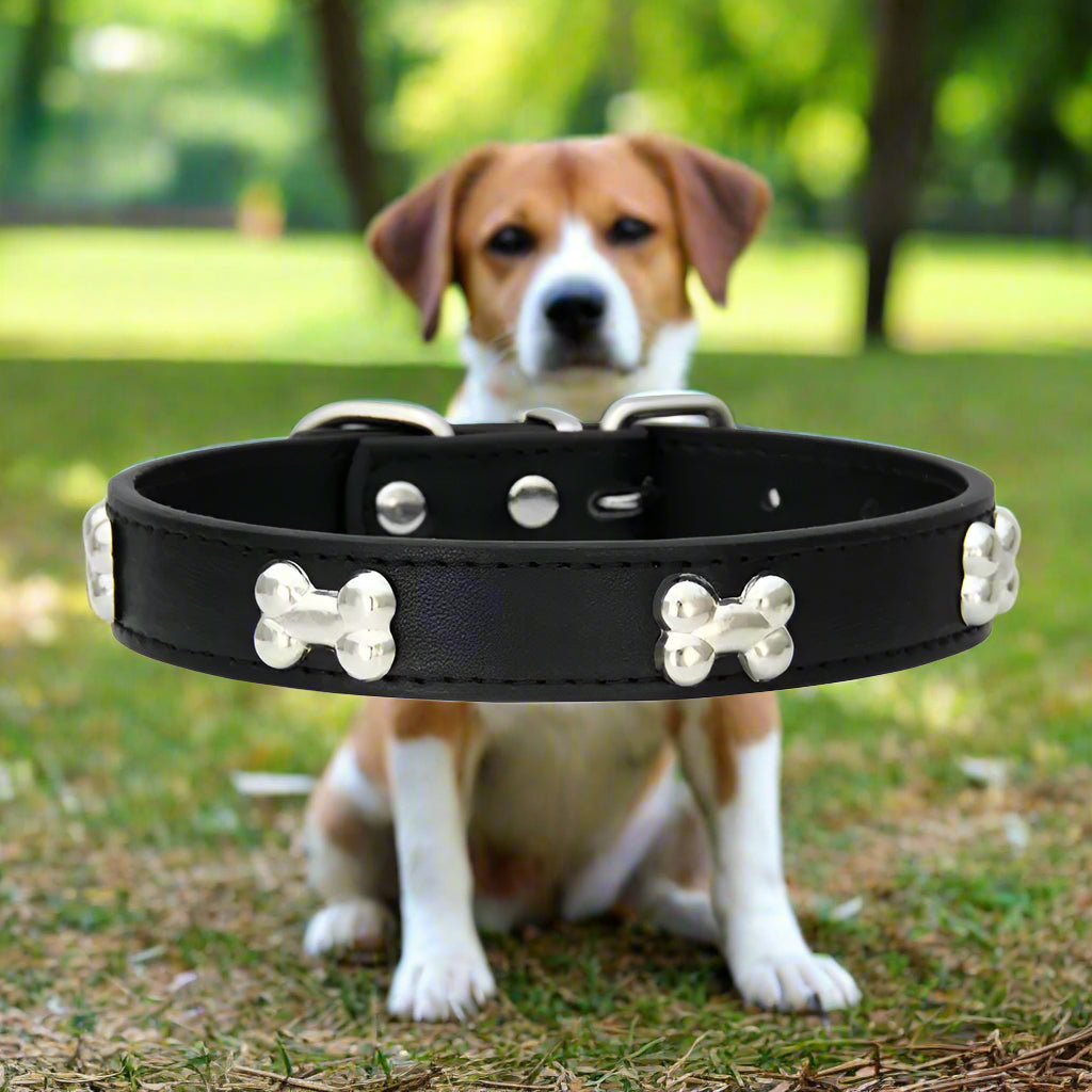 collier pour chien nonos noir parc