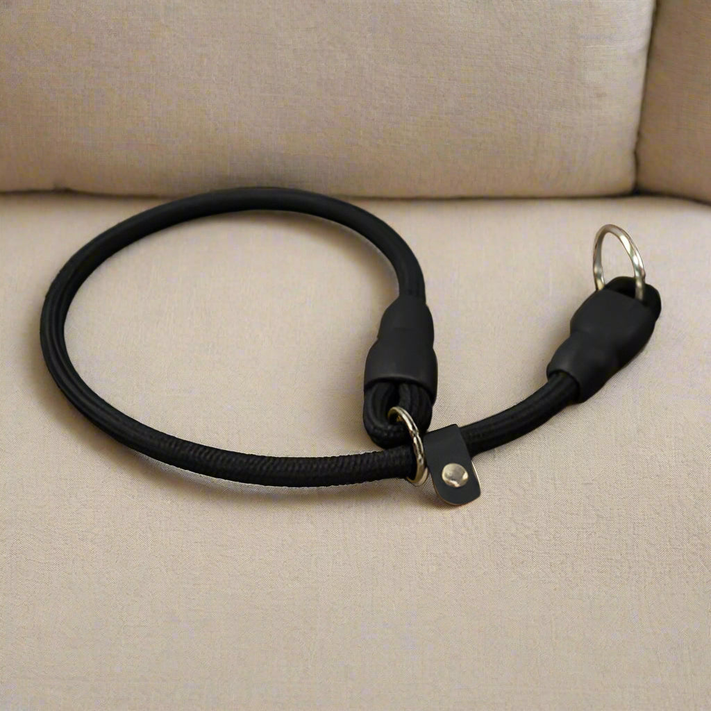 collier pour chien nsurete noir confort