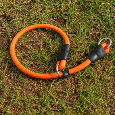 collier pour chien orange nsurete