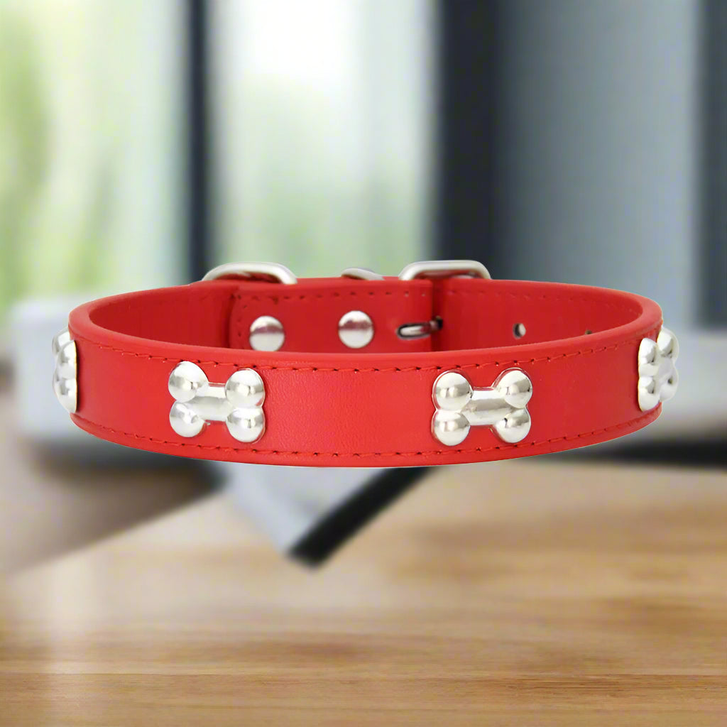 collier pour chien rouge nonos table