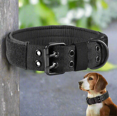 collier pour chien tete chien
