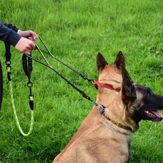 double laisse pour chien petwalk vert clair devant