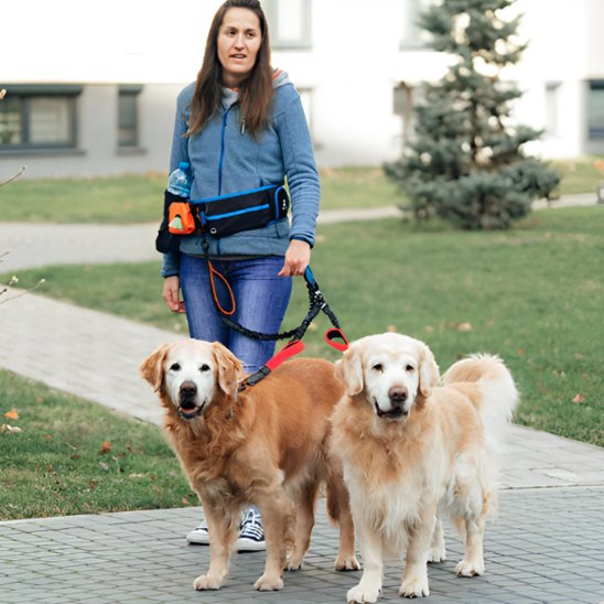 double laisse pour chien rouge arbre maison maitre