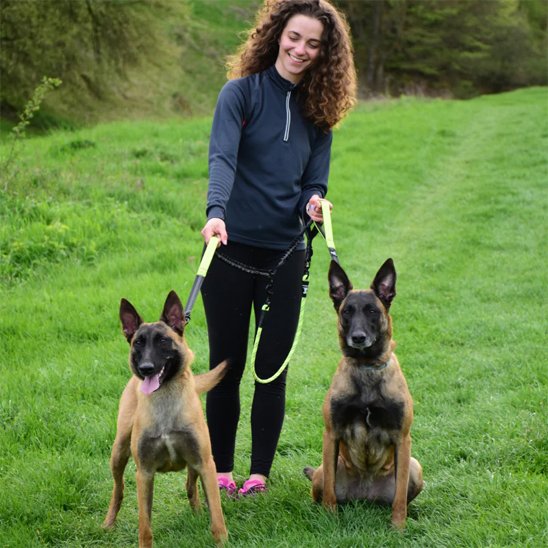 double laisse pour chien petwalk nature vert maitre