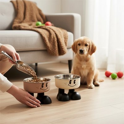 Gamelle chien surélevée dans le salon chien à côté divan