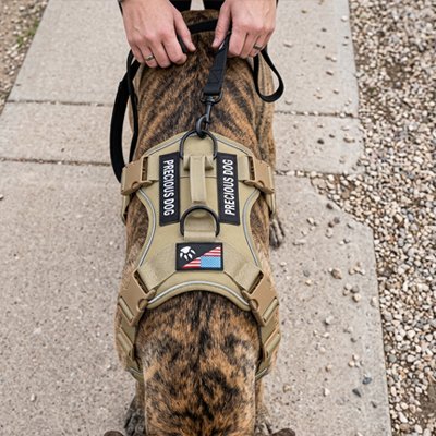 Harnais anti traction pour chien moment en confort jaune