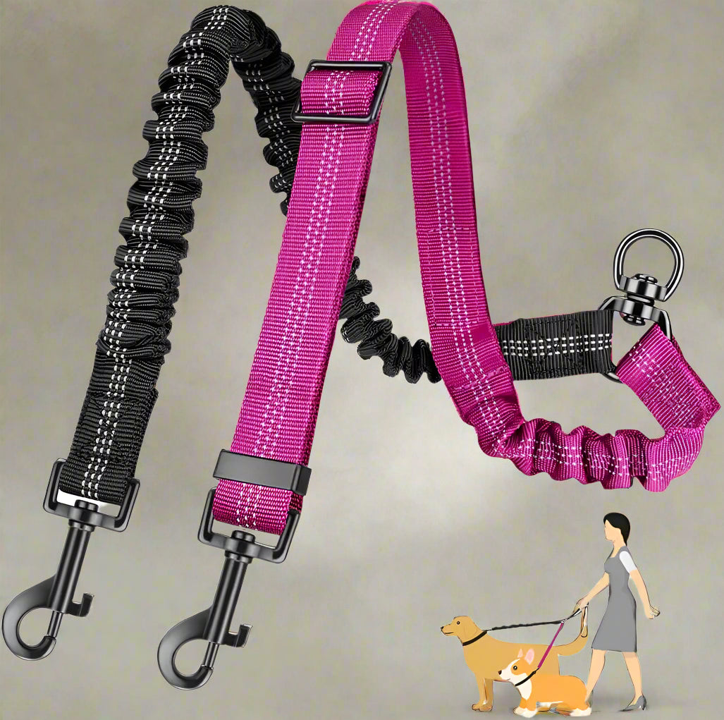 laisse double pour chien anti emmelemen rose rouge