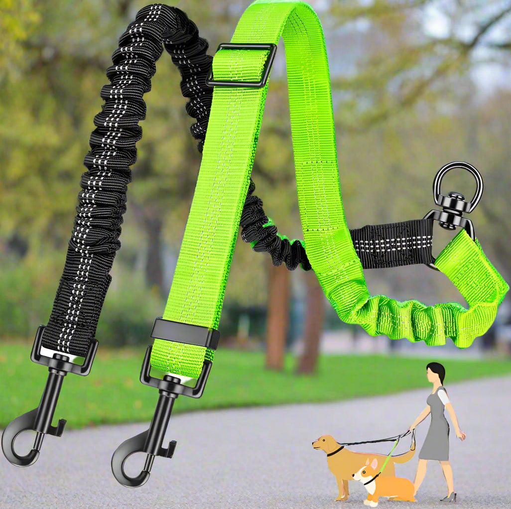 laisse double pour chien anti emmelent vert