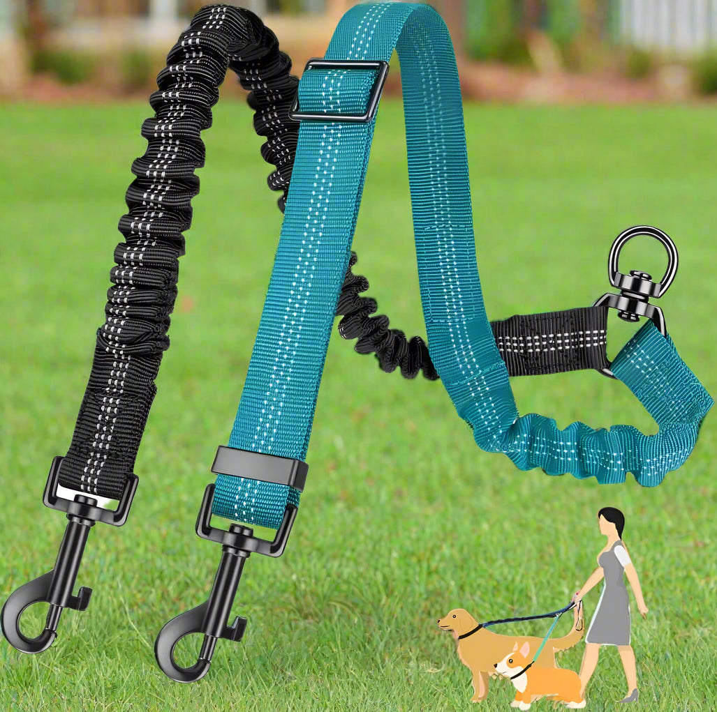 laisse double pour chien bleu pelouse maitre