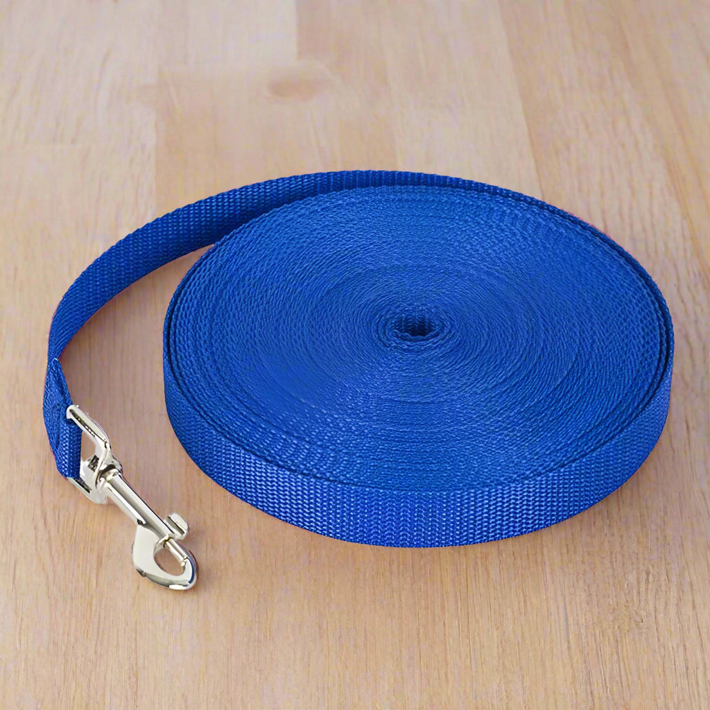 laisse pour chien achemin bleu table