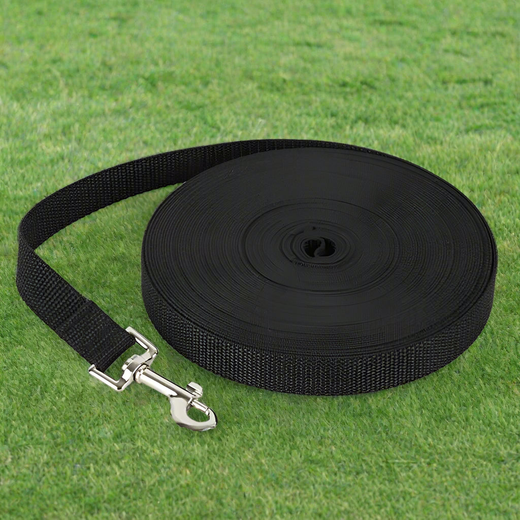 laisse pour chien achemin noir pelouse