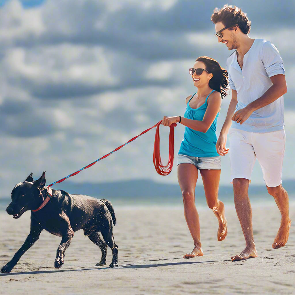 laisse pour chien achemin rouge deux maitres