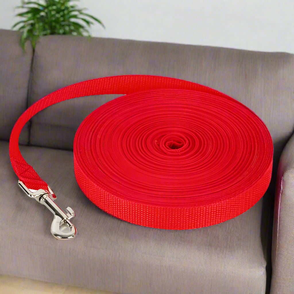 laisse pour chien achemin rouge salon