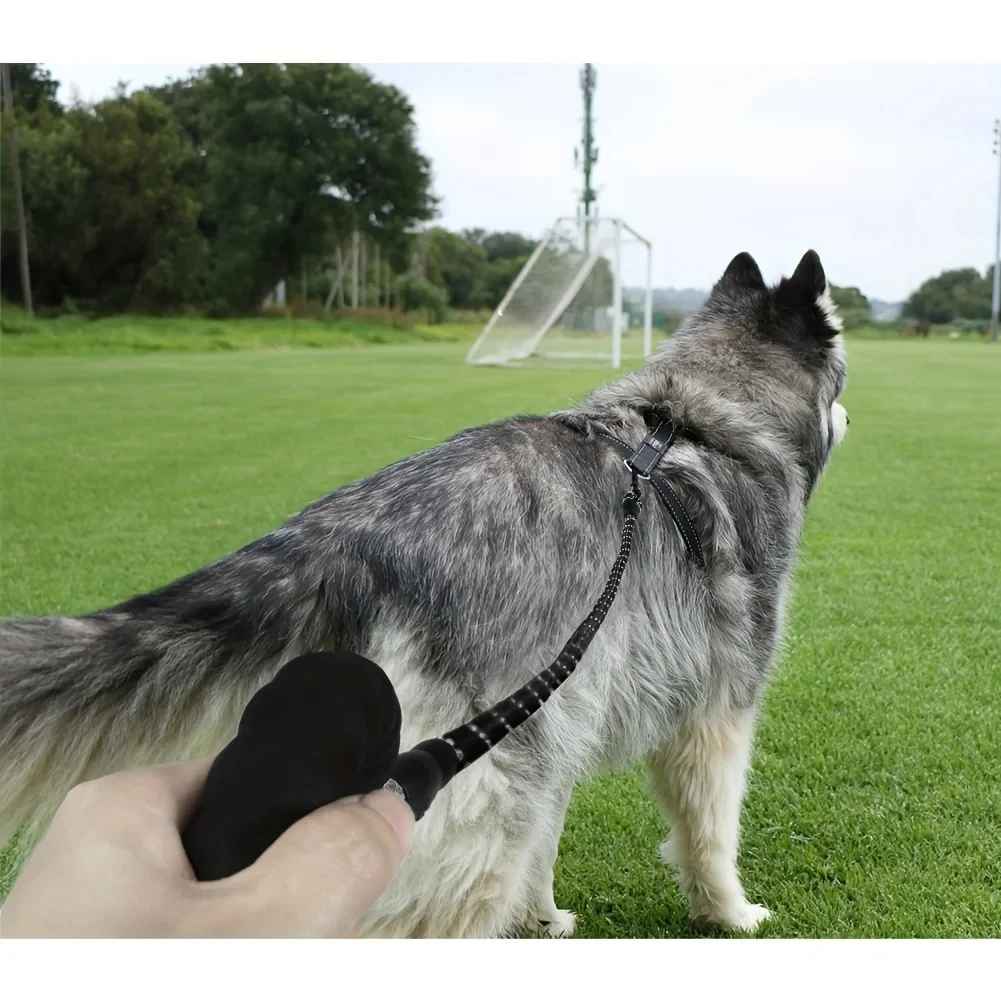 laisse pour chien amure noir eduic terrain soccer