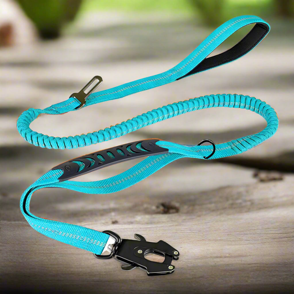 laisse pour chien bleu souplement pelouse