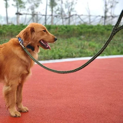 laisse pour chien boyau vert maitre barbele