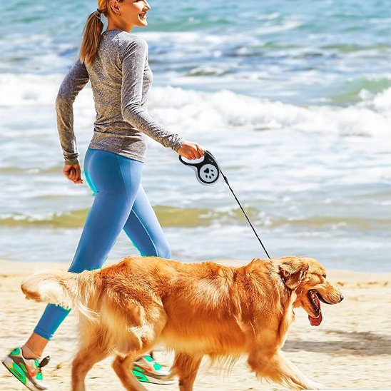 laisse pour chien liberty plage maitre noir