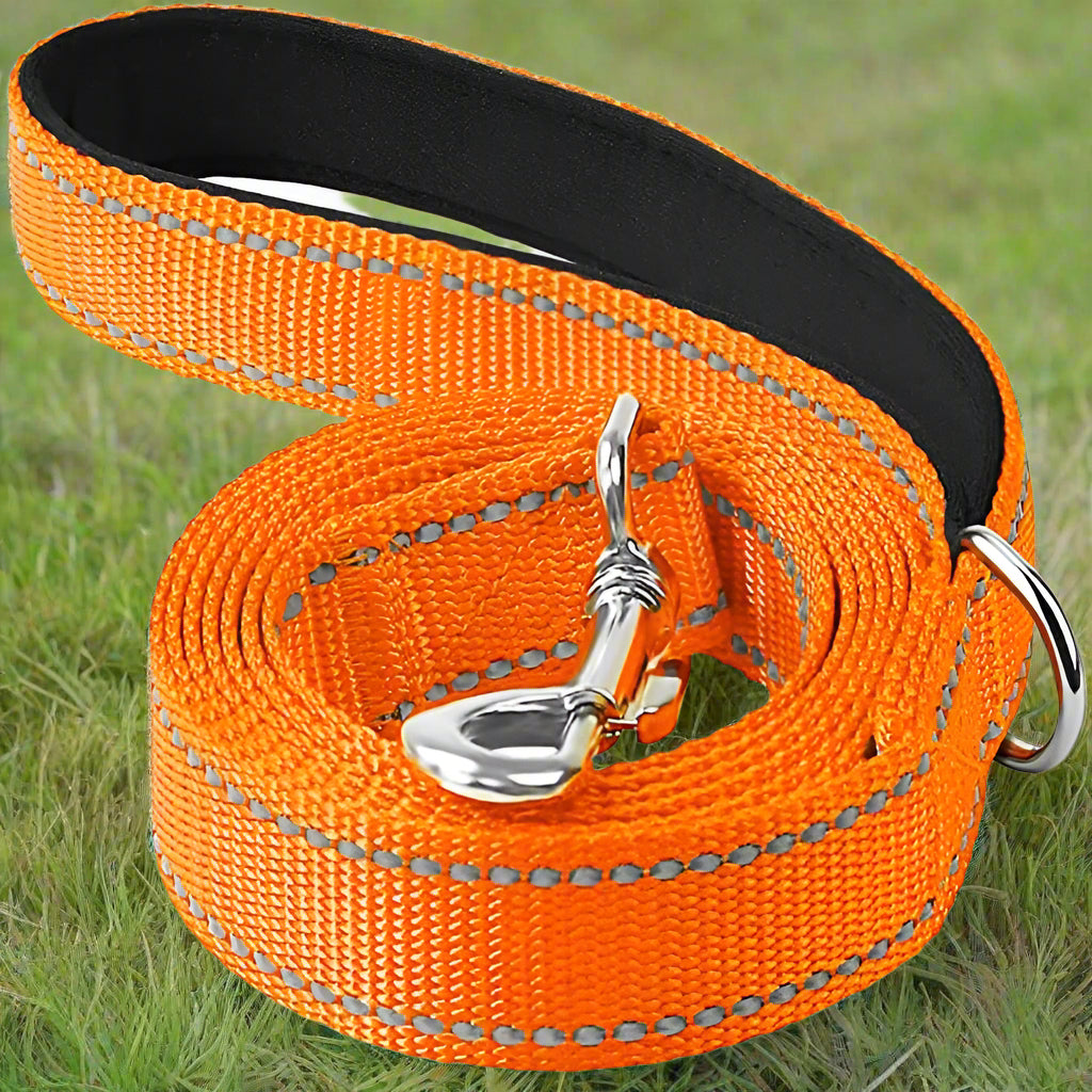 laisse pour chien repercutt orange pelouse