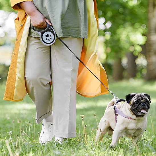 laisse pour chien retractble iberty marche maitre noir