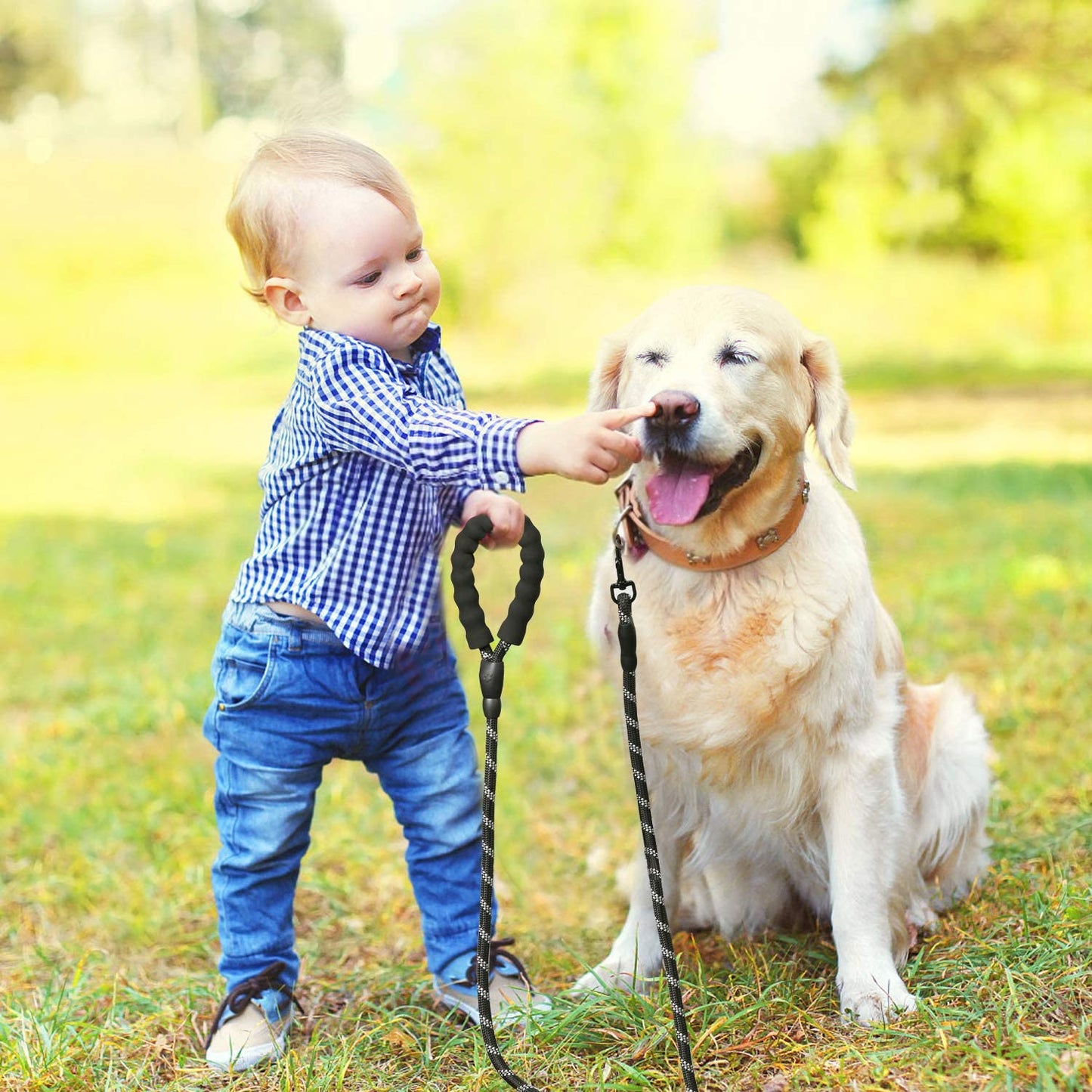 LaisseEduc™ - Corde en Nylon pour chien | Chien - Comptoir des chiens