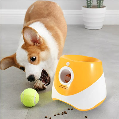 Lanceur de balle pour chien essaie attrape balle orange avec sa bouche