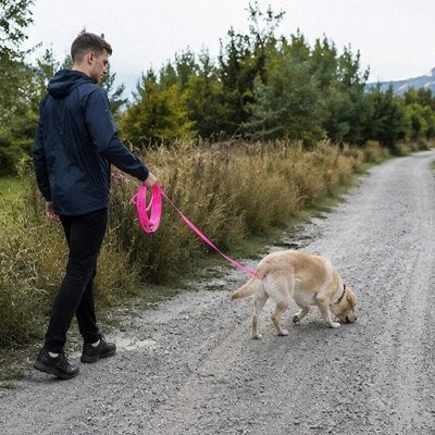 Longe 10m pour Chien rose se balade a côté de la route