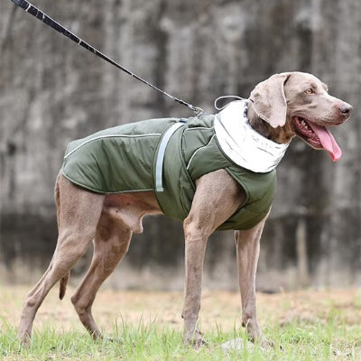 manteau pour chien vert sortir pour un balade