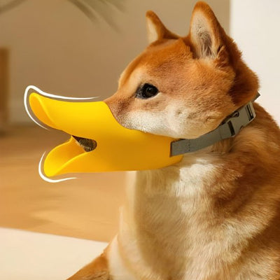 Muselière chien confortable et super calme