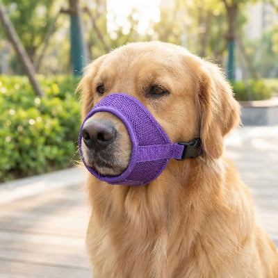 muselière chien confortable maille respirante violet