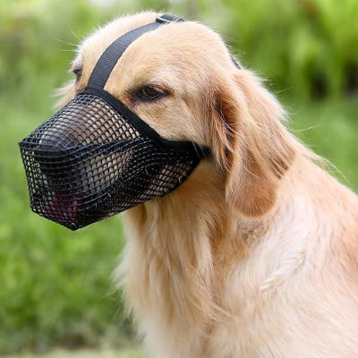 Muselière chien qui reste en place au visage confort