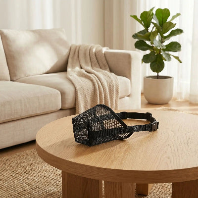 museliere chiot noir sur une table en bois au salon