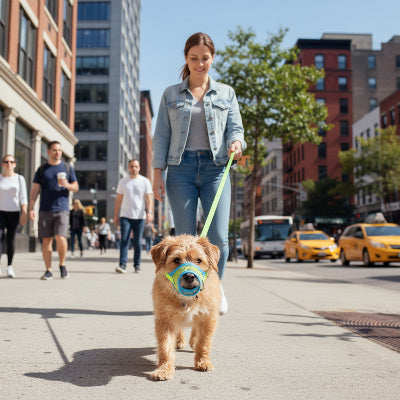 muselière chiot sécuritaire et efficace maître balade en ville avec chien